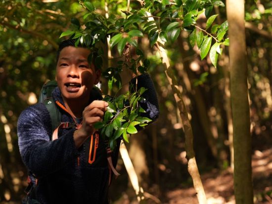 屋久島 貸切 西部の森ハイキング　亜熱帯の森と動物たちに出会う　大川の滝＆永田浜を巡り屋久島の大自然を満喫＜初心者歓迎／1日＞