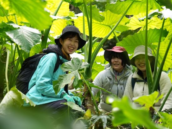 屋久島 貸切 西部の森ハイキング　亜熱帯の森と動物たちに出会う　大川の滝＆永田浜を巡り屋久島の大自然を満喫＜初心者歓迎／1日＞