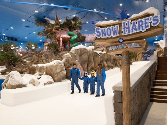 Snow Hare_s Bunny Hill