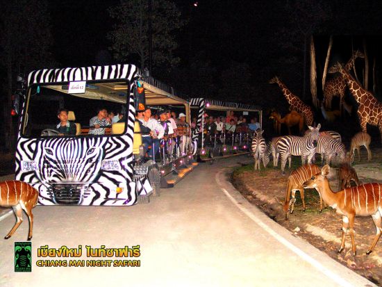 チェンマイ ナイトサファリ（Chiang Mai Night Safari）　入場チケット事前予約サービス＜送迎付きプランあり＞