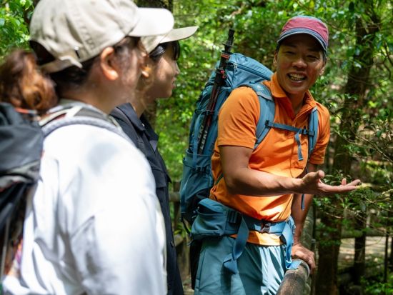 屋久島 貸切 ヤクスギランドハイキング 樹齢300年超の森で歴史と自然にふれる＜初心者歓迎／半日＞