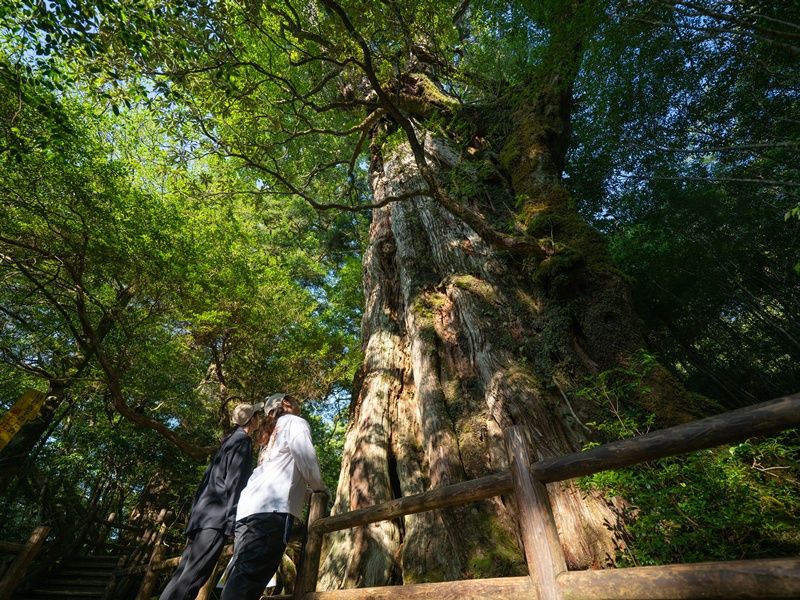 屋久杉磨き体験」お香立て、一輪挿し、キーホルダーから選択可能