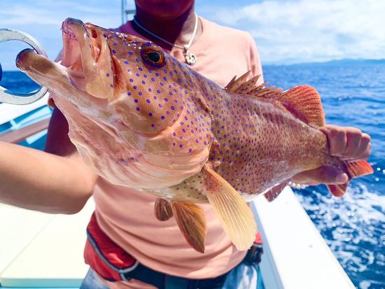 897E3514-A972-4417-9117-8A6F113BDD19