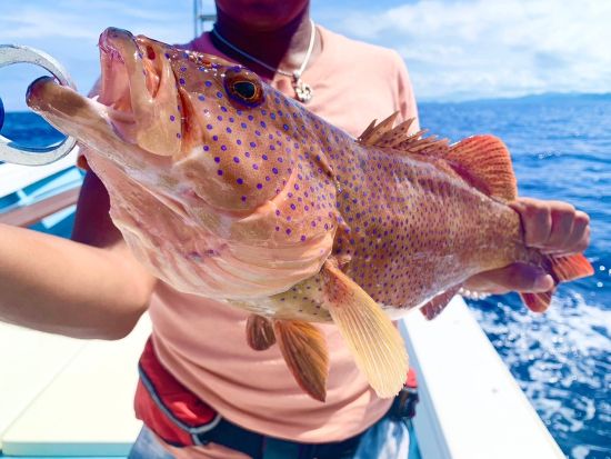 【狙うは高級魚＆大物】手ぶら＆当日予約OK！カップルに大人気 サンセットフィッシング ＜初心者大歓迎／5歳～／市街地送迎可／石垣島＞