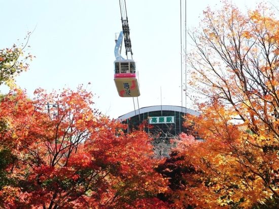 福岡発日帰りバスツアー 太宰府天満宮＋ 別府ロープウェイ＋湯布院 歴史と文化に触れる旅＜1日／博多発着＞
