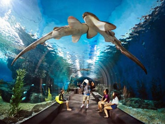 アンダーウォーターワールド パタヤ（Underwater World Pattaya）　入場チケット事前予約サービス ＊即予約確定