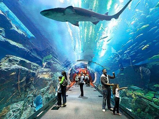 アンダーウォーターワールド パタヤ（Underwater World Pattaya）　入場チケット事前予約サービス ＊即予約確定