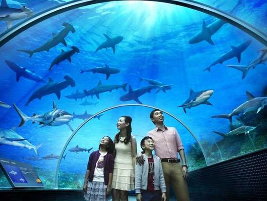 tour_img-1926632-146