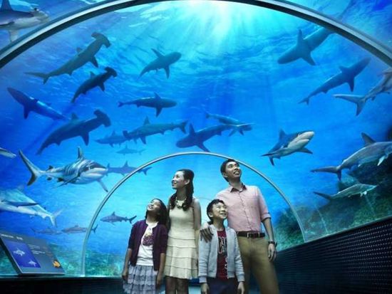 アンダーウォーターワールド パタヤ（Underwater World Pattaya）　入場チケット事前予約サービス ＊即予約確定