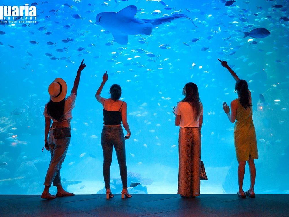 aquaria-phuket-the-biggest