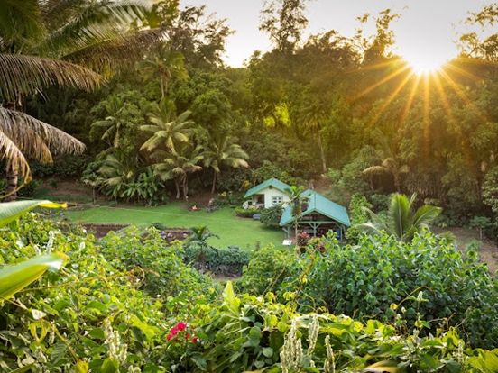 ハワイ島 アンティ・ナニのスピリチュアル・ハワイアンガーデンツアー