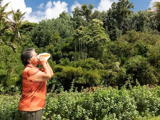 C8D1172B-30E0-460A-9178-0BE5ADDF0D5D