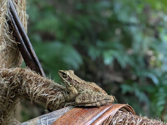 PXL_20250810_001659866.PORTRAIT