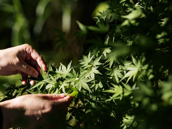 f13ea5_50ce3b6fa89046e584199d5d3d03a147~mv2