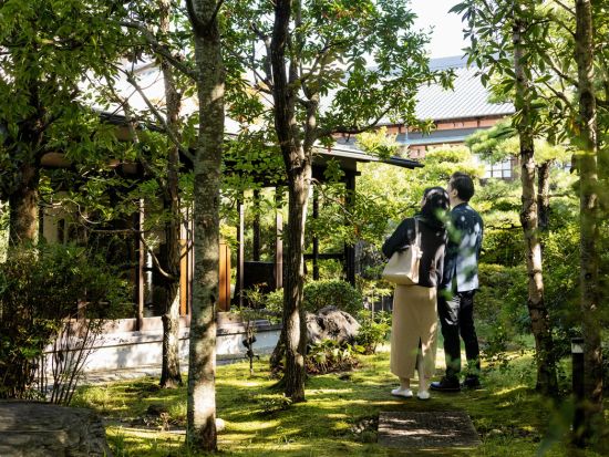 【徳島】登録有形文化財・旧樫野家住宅で珍しい「つまもの」採取体験と庭園散策 二十四節気料理をランチで堪能！＜ランチ付 / 午前半日＞