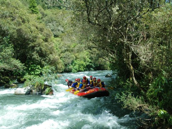 ロトルア ラフティング体験　初心者から上級者まで楽しめる！グレード2～5の全4種のエキサイティングな川下りを満喫＜英語／ロトルア発＞