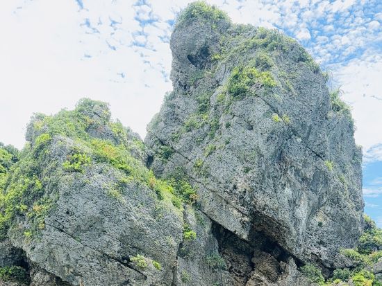 【NEW】綺麗な海で爽快にドライブ！【ジェットスキーレンタル1日プラン】