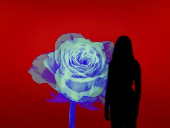 FLOWER 'ODYSSEY'_Credit_ARTE MUSEUM