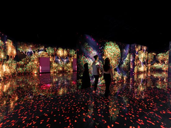 アルテ・ミュージアム（Arte Museum）入場チケット予約 ＊申込と同時に即予約確定