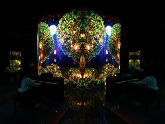 アルテ・ミュージアム（Arte Museum）入場チケット予約 ＊申込と同時に即予約確定