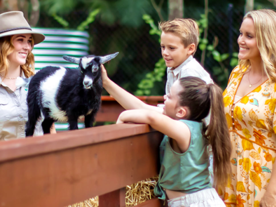 ツリーアスレチック＆ジップライン ツリー・トップ・チャレンジ　カランビン・ワイルドライフ・サンクチュアリー入場券付きプランあり！＜現地集合＞