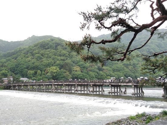 8W 嵐山 渡月橋