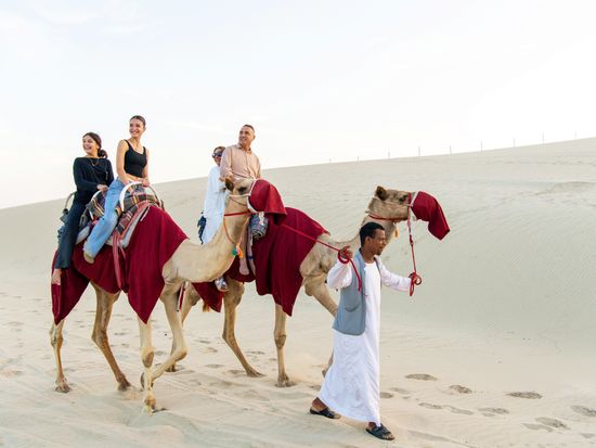 【Full】Camel ride