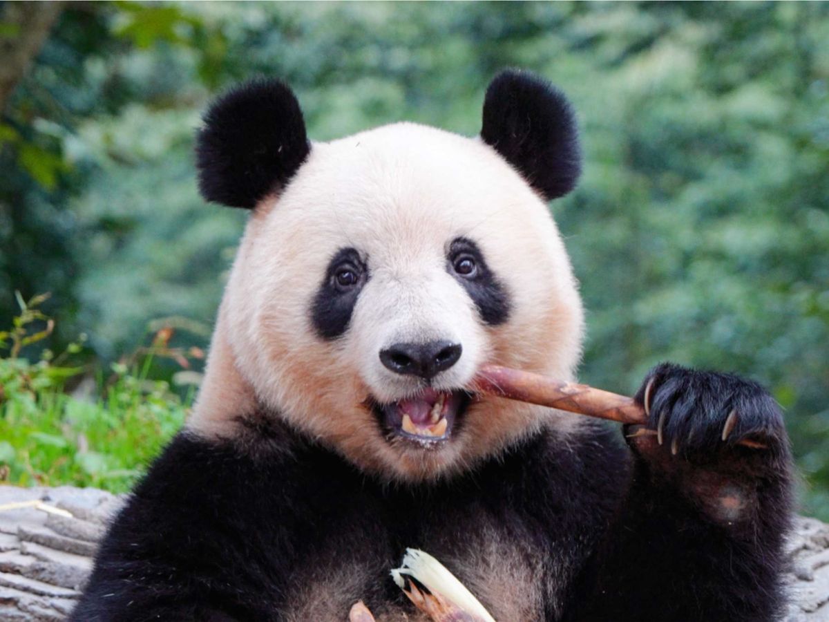 20250903052403_1673046037_1460