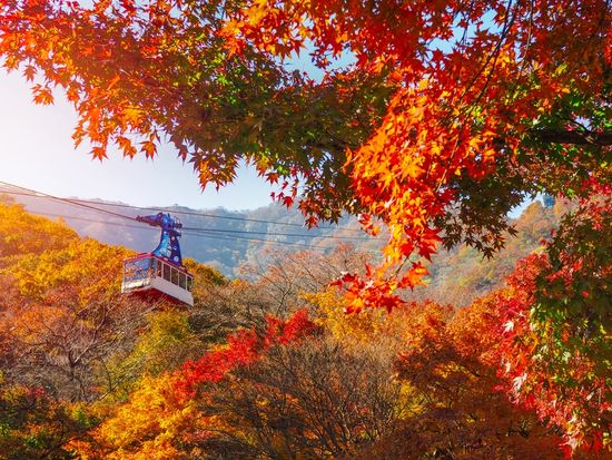 Naejang-Cable Car-01