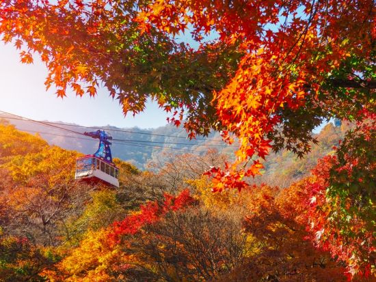 【10月28日～11月27日限定】内蔵山国立公園送迎ツアー　ソウルから行ける紅葉スポット＜1日／1名参加OK／選べる出発地／英語ガイド／ソウル発＞