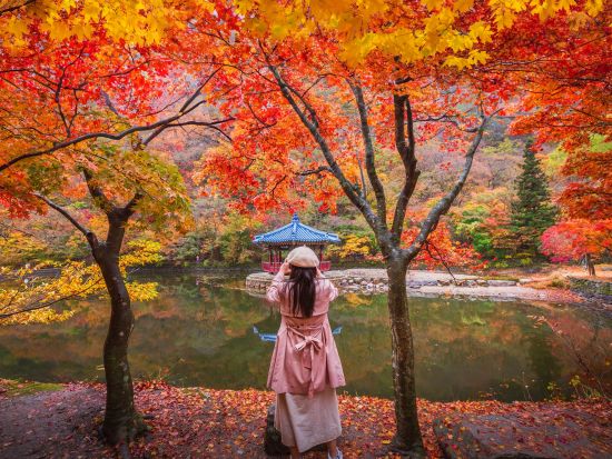 【10月28日～11月27日限定】内蔵山国立公園送迎ツアー　ソウルから行ける紅葉スポット＜1日／1名参加OK／選べる出発地／英語ガイド／ソウル発＞