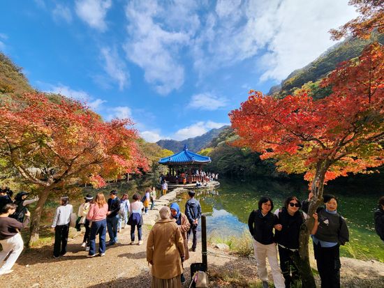 KakaoTalk_20241102_151206263_12