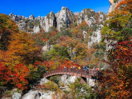 【10月12日～10月31日限定】雪岳山国立公園送迎ツアー　ソウルから行ける紅葉スポット＜1日／1名参加OK／選べる出発地／英語ガイド／ソウル発＞
