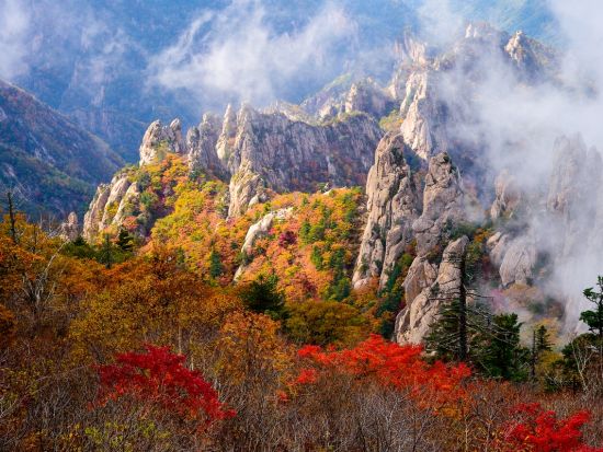 【10月12日～10月31日限定】雪岳山国立公園送迎ツアー　ソウルから行ける紅葉スポット＜1日／1名参加OK／選べる出発地／英語ガイド／ソウル発＞