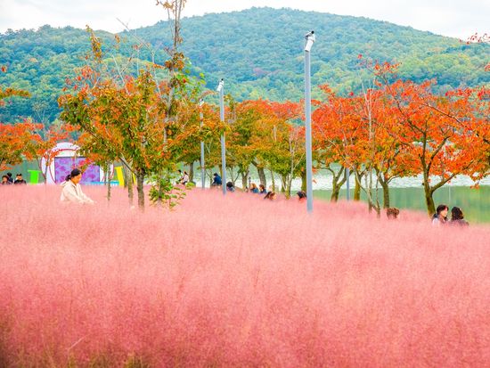 Gyeongju Bomun Tourist Complex