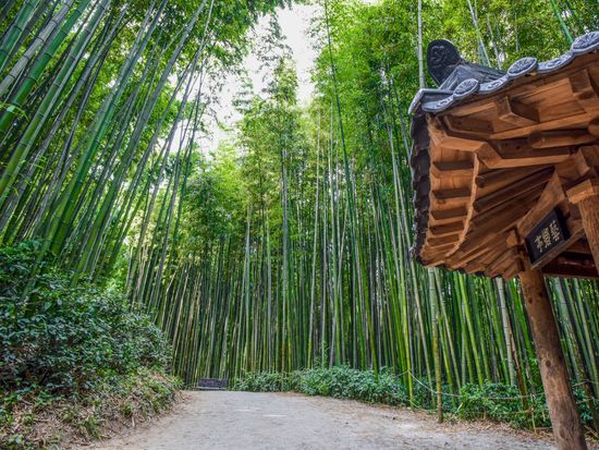 Type1_Juknokwon_Live Studio_cbKX9a