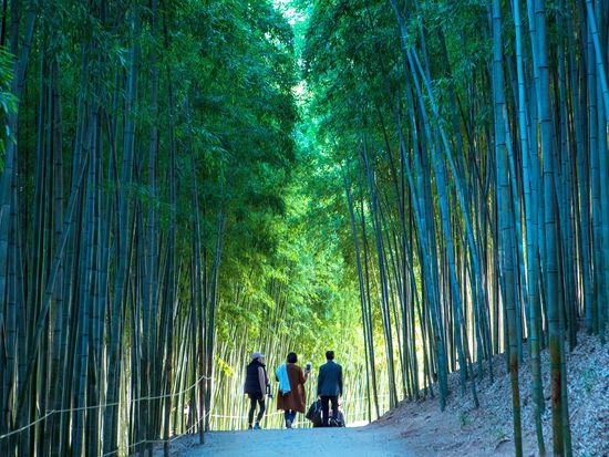 Type1_Juknokwon_Korea Tourism Organization Kim Ji-ho_lMDJja