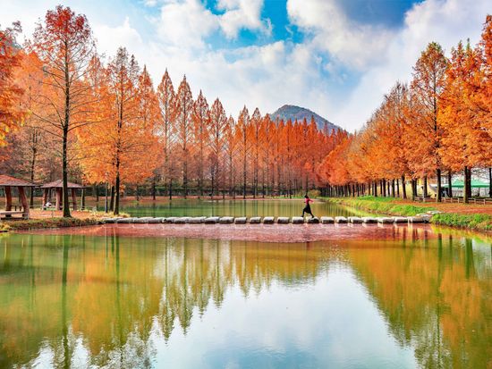 Type1_Metagil Stepping Stone_Janghana_mtch8U