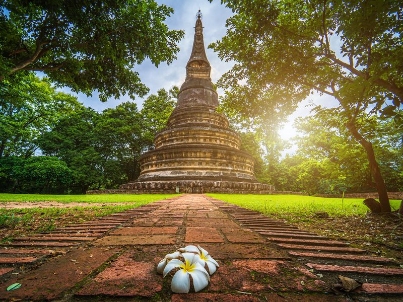 shutterstock_2026637954