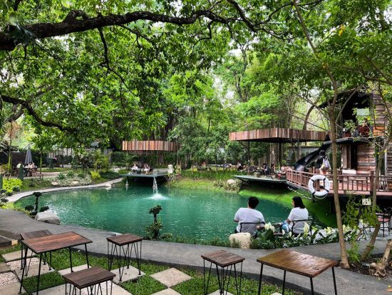 チェンマイ郊外半日観光ツアー　ドイステープ寺院＋モン族の村＋ワット・ウモーン＜午前／半日／英語ガイド＞