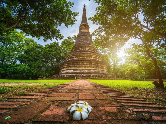 チェンマイ郊外半日観光ツアー　ドイステープ寺院＋モン族の村＋ワット・ウモーン＜午前／半日／英語ガイド＞