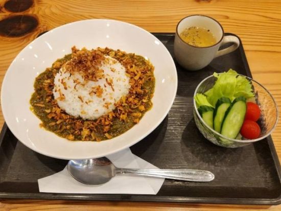 【英語ツアー】伏見稲荷大社＋嵐山＋奈良公園日帰りバスツアー＜京都発／選べる昼食付／英語ガイド＞