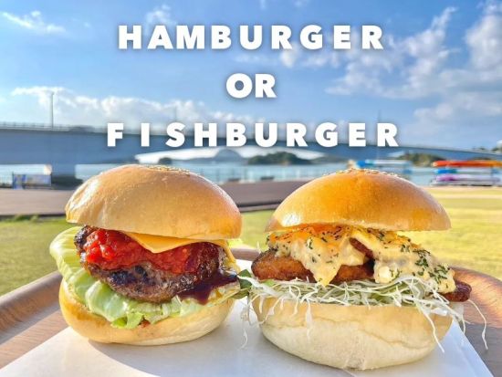 路線バス快速あまくさ号で行くイルカウォッチング！お昼は絶景シーサイドでBBQまたはバーガーセットを堪能＜昼食付／熊本桜町バスターミナル ・ 熊本駅発＞