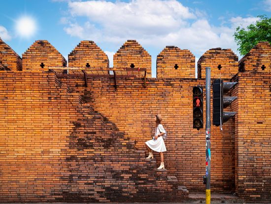 shutterstock_2278529053