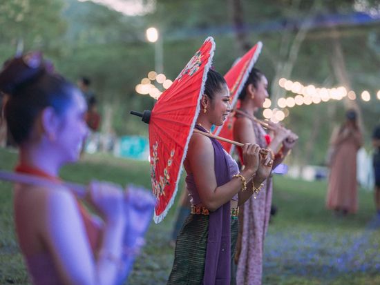 15-11-2024 no logo-170