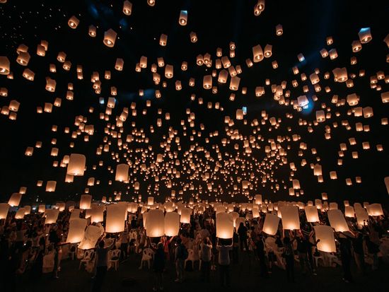 15-11-2024 no logo-443