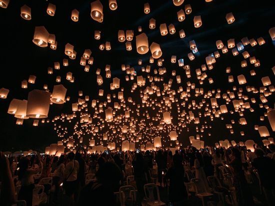 15-11-2024 no logo-455