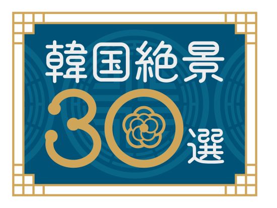 釜山市内観光ツアー　人気スポットを凝縮！甘川文化村＋海東龍宮寺＋松島海上ケーブルカー＋海雲台など＊名物ナッチポックンランチ＜1日／日本語ガイド／ホテル送迎＞