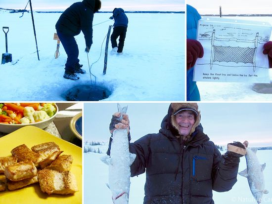 Yellowknife Becks Ice Fishing Tour 01