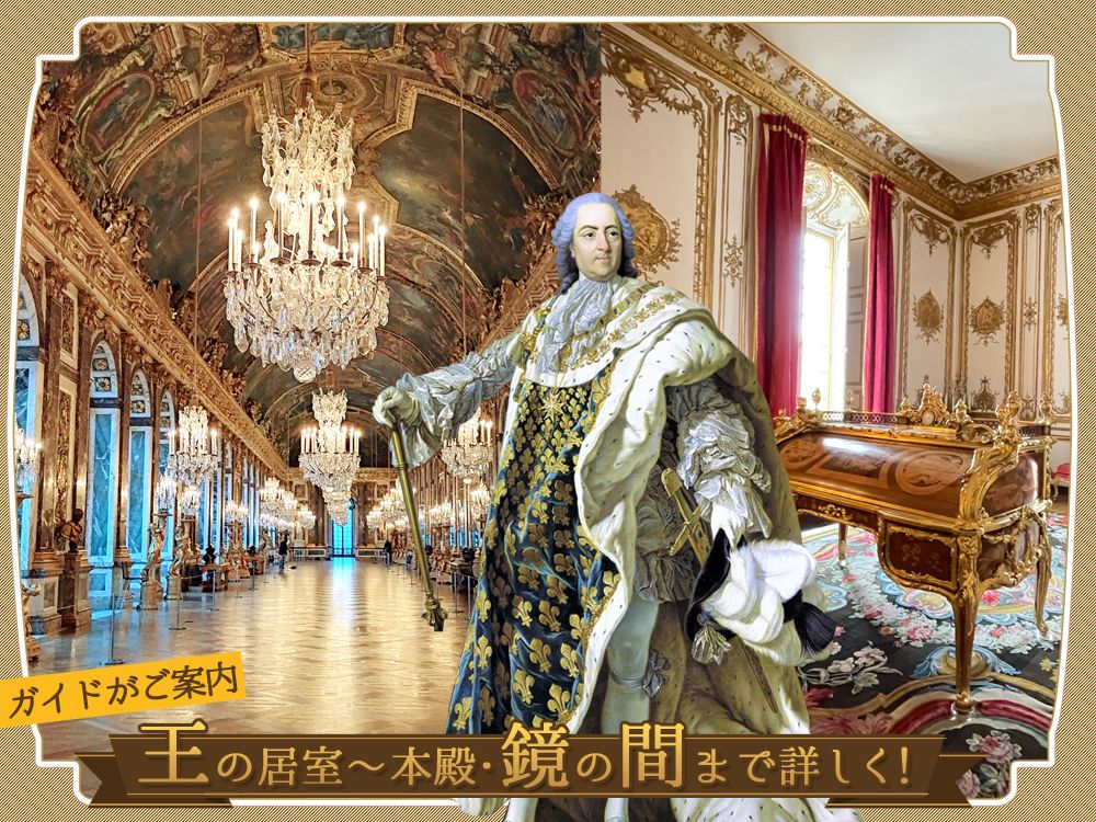 サプライ宮殿 サプライ宮殿 サプライ宮殿 サプライ宮殿 Z/Xカードサプライ ｜ Z/X